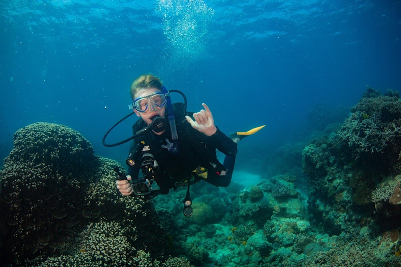 Discover the Marine Wonderland of Reef Encounter - Reef Encounter