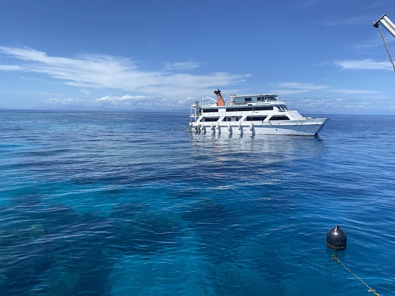 Discover the Marine Wonderland of Reef Encounter - Reef Encounter