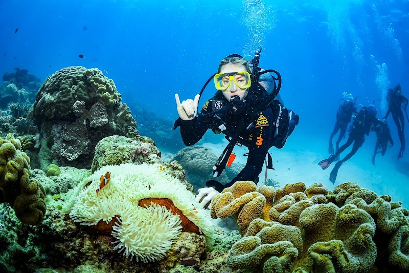 Diving Adventures at Divers Den, Cairns, Queensland - Divers Den