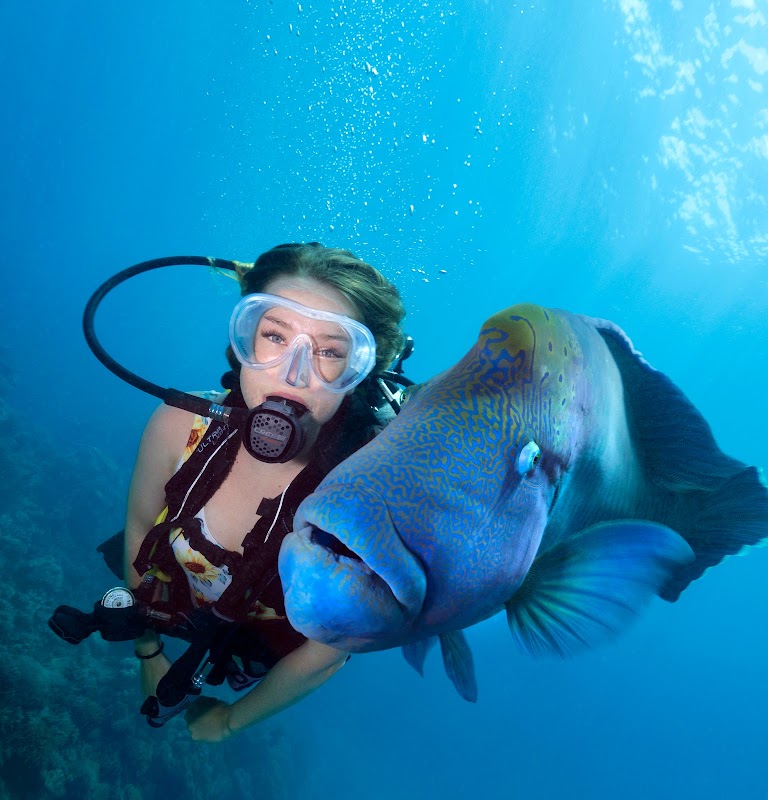 Diving Adventures at Divers Den, Cairns, Queensland - Divers Den