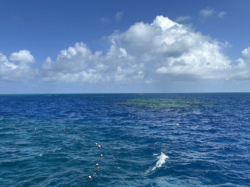 Marvel at the Great Barrier Reef - Reef Magic Pontoon