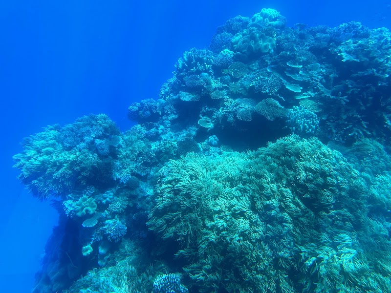 Great Barrier Reef Marine Protected Area adventures