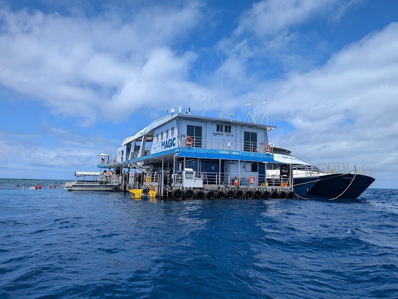 Marvel at the Great Barrier Reef - Reef Magic Pontoon