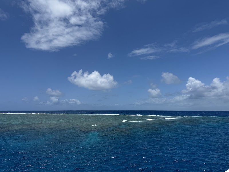 Underwater Wonders at Troppos, Norman Reef - Troppos - Dive site at Norman Reef