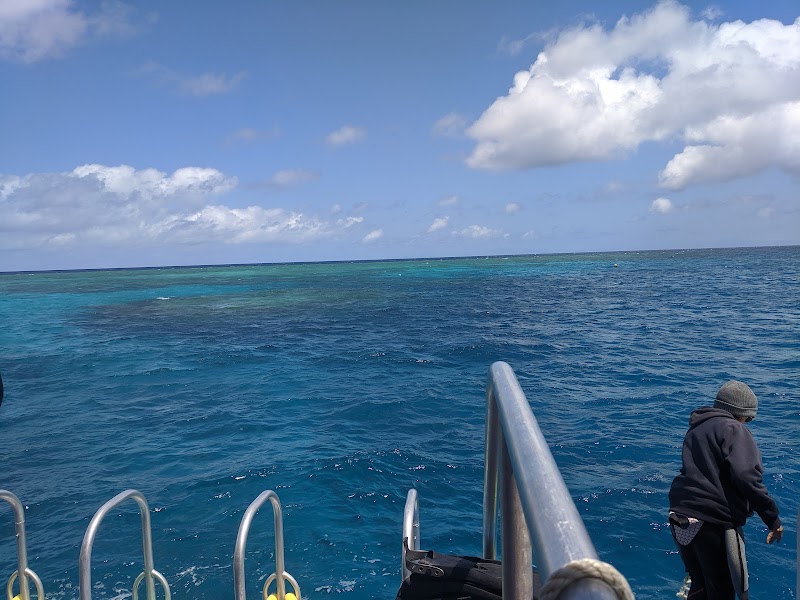 Underwater Wonders at Troppos, Norman Reef - Troppos - Dive site at Norman Reef