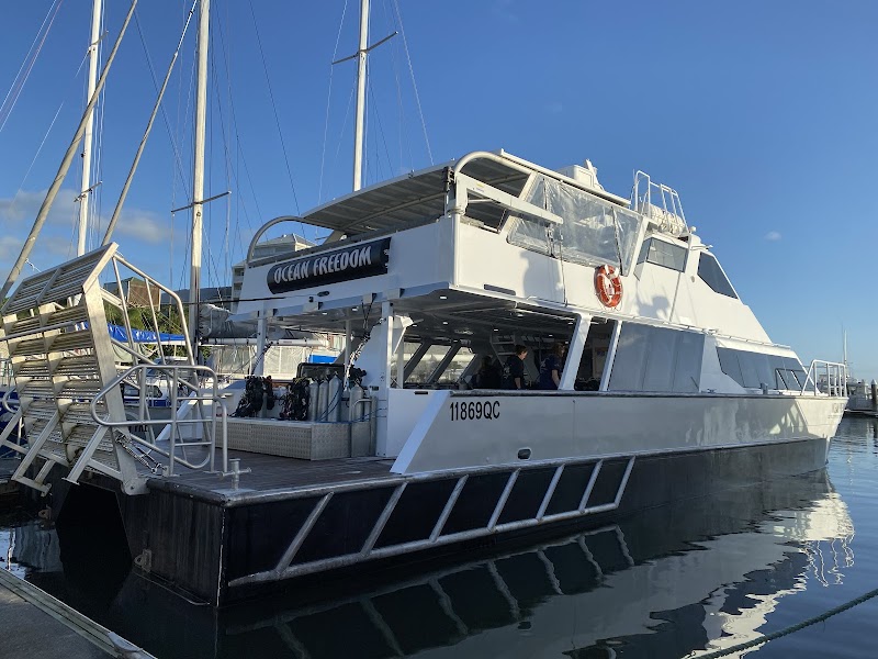 Ocean Adventures: Cairns' Gateway to the Great Barrier Reef - Ocean Free & Ocean Freedom - Cairns Premier Great Barrier Reef & Island Tours