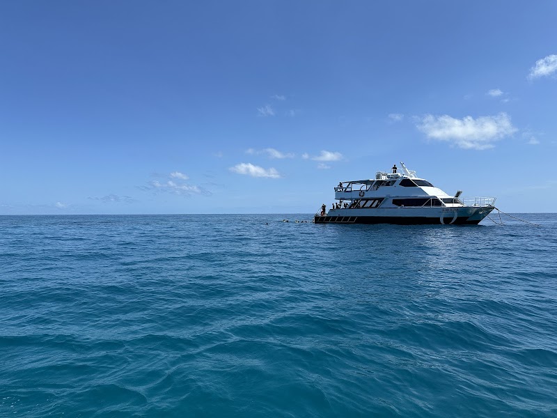 Ocean Adventures: Cairns' Gateway to the Great Barrier Reef - Ocean Free & Ocean Freedom - Cairns Premier Great Barrier Reef & Island Tours