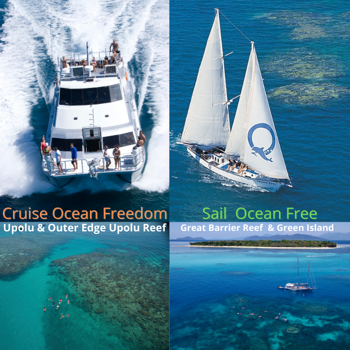 Ocean Adventures: Cairns' Gateway to the Great Barrier Reef - Ocean Free & Ocean Freedom - Cairns Premier Great Barrier Reef & Island Tours