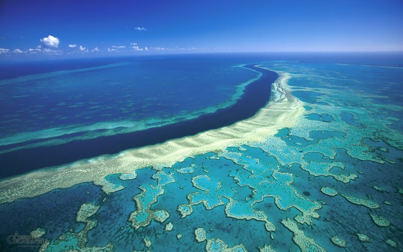 Diving into the Great Barrier Reef - Great Barrier Reef