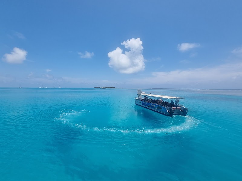 Dazzling Waters of 1770 Reef - Great Barrier Reef Eco Tours - 1770 Reef - Great Barrier Reef Eco Tours