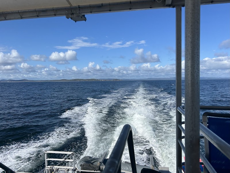 Dazzling Waters of 1770 Reef - Great Barrier Reef Eco Tours - 1770 Reef - Great Barrier Reef Eco Tours