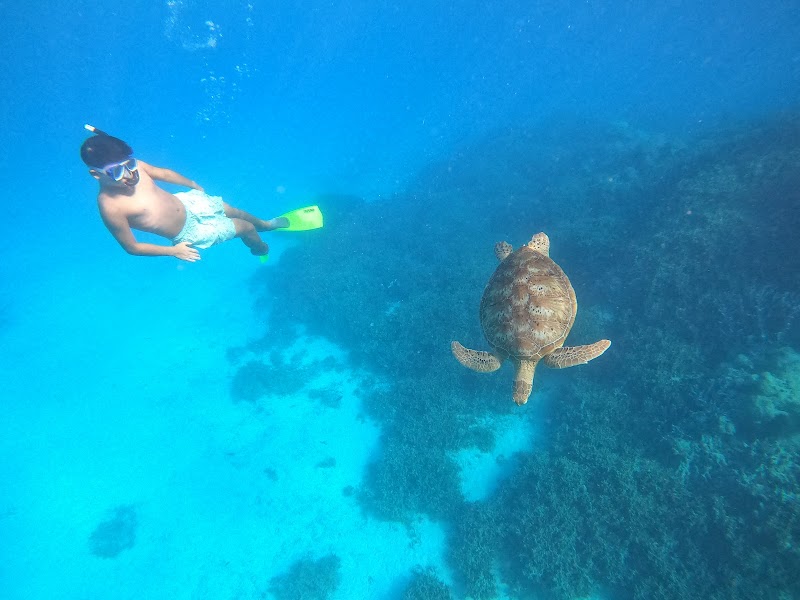Dazzling Waters of 1770 Reef - Great Barrier Reef Eco Tours - 1770 Reef - Great Barrier Reef Eco Tours