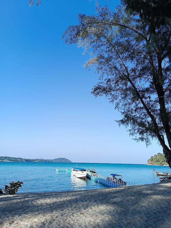 Lush Escape: Ko Adang's Natural Paradise - Ko Adang
