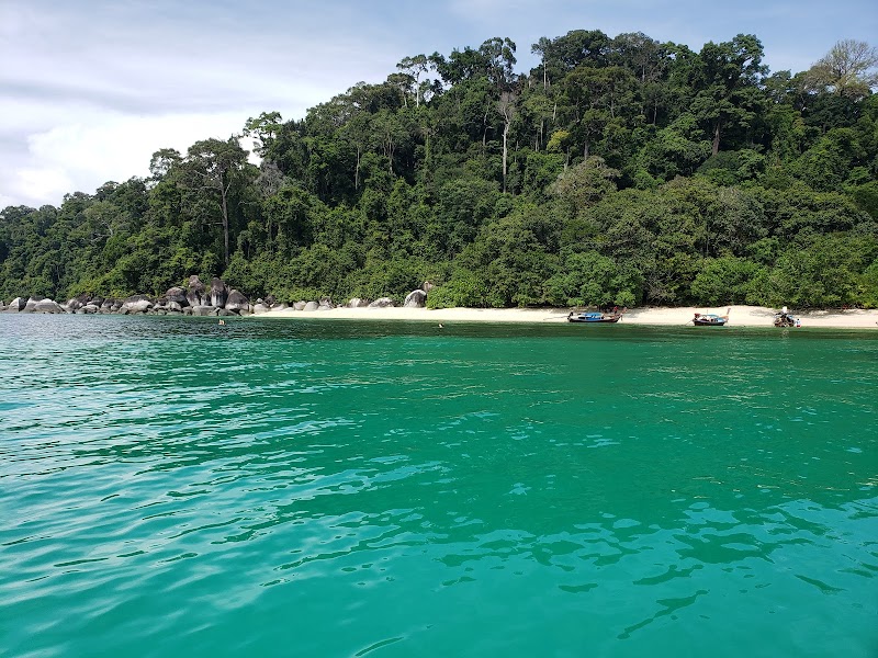 Lush Escape: Ko Adang's Natural Paradise - Ko Adang