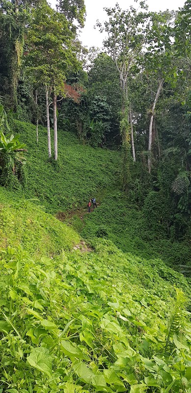 Trekking Through History: The Kokoda Track - Kokoda Track