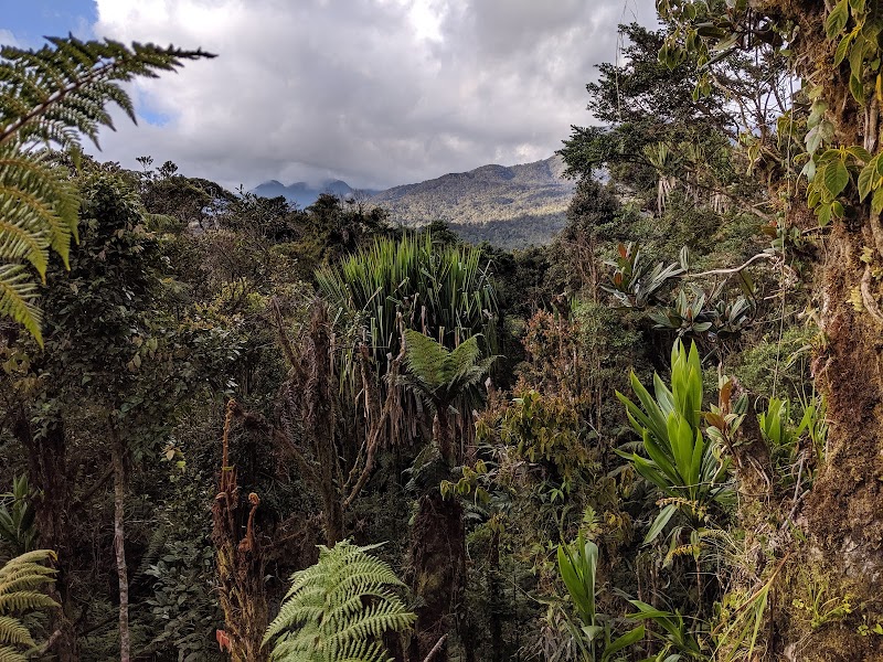 Wildlife Wonders at Kumul Lodge - Kumul Lodge