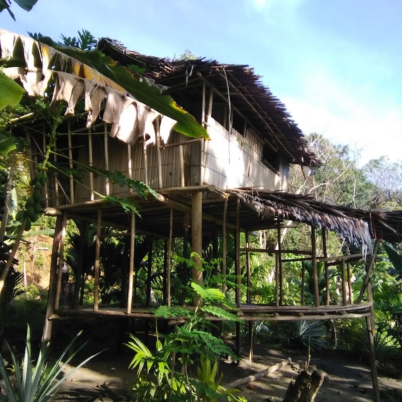 Fergusson Island: A Natural Oasis in Milne Bay - Fergusson Island