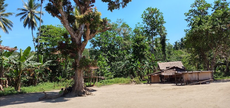Fergusson Island: A Natural Oasis in Milne Bay - Fergusson Island