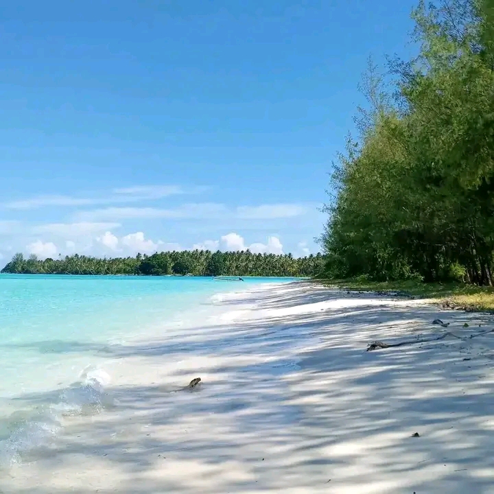 Tropical Bliss in New Ireland - New Ireland