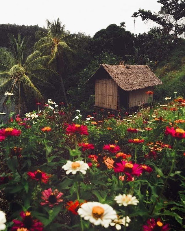 Tropical Tranquility: Tufi, Papua New Guinea - Tufi