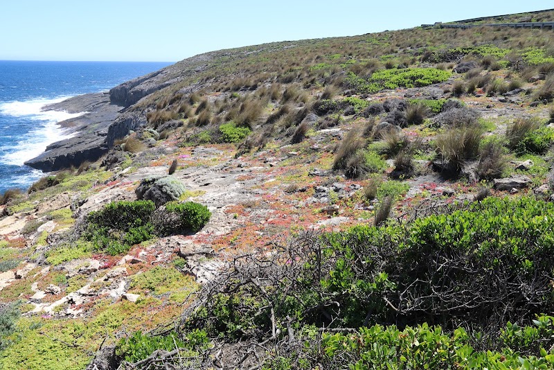 Majestic Rocks of Kangaroo Island - Kangaroo Island