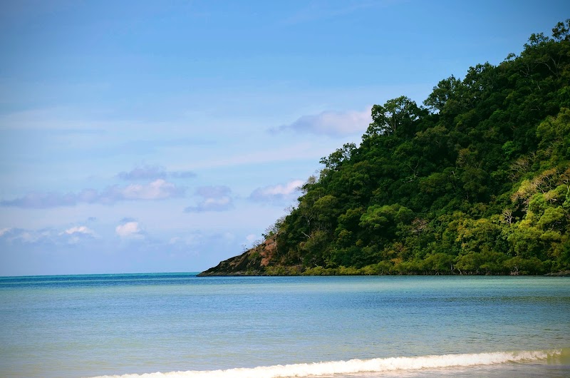 Tropical Wilderness of Cape Tribulation - Cape Tribulation