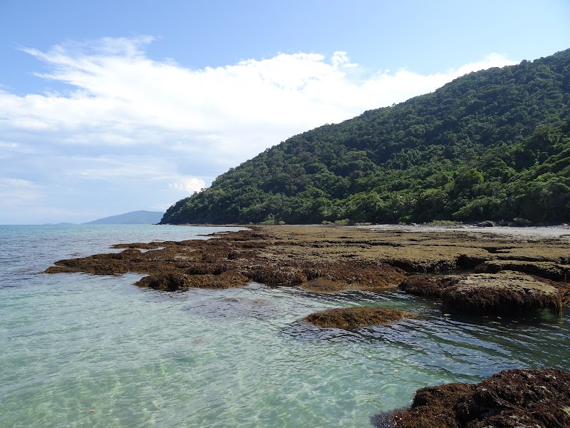 Tropical Wilderness of Cape Tribulation - Cape Tribulation
