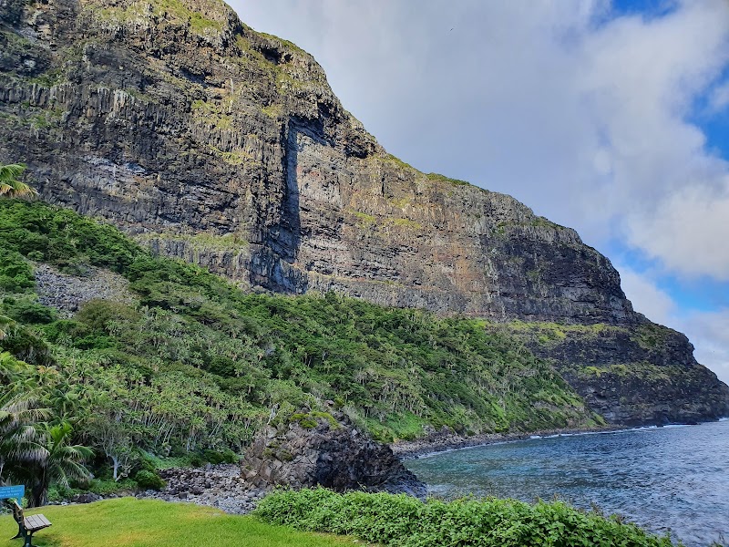 Tropical Paradise: Lord Howe Island - Lord Howe Island