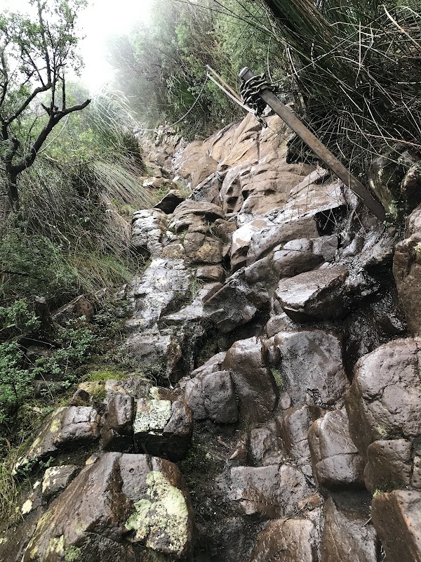 Nature's Majesty at Wollumbin / Mount Warning - Wollumbin / Mount Warning