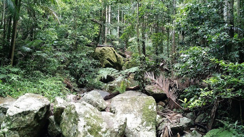Nature's Majesty at Wollumbin / Mount Warning - Wollumbin / Mount Warning