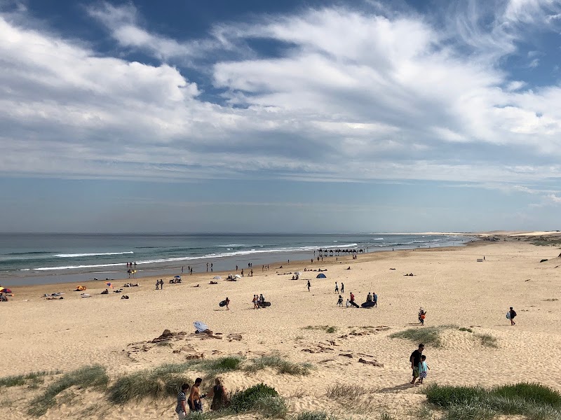 Discover the Beauty of Port Stephens Council - Port Stephens Council