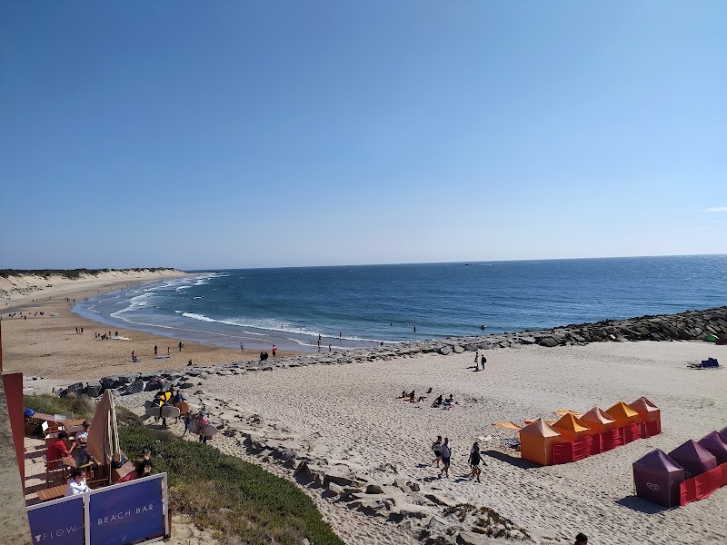 Seaside Serenity at Praia de Ofir - Praia de Ofir