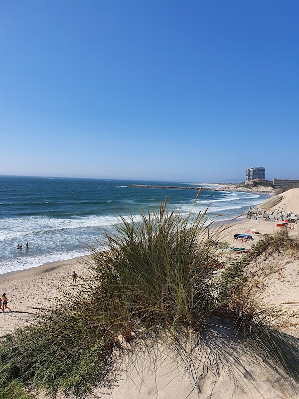 Seaside Serenity at Praia de Ofir - Praia de Ofir