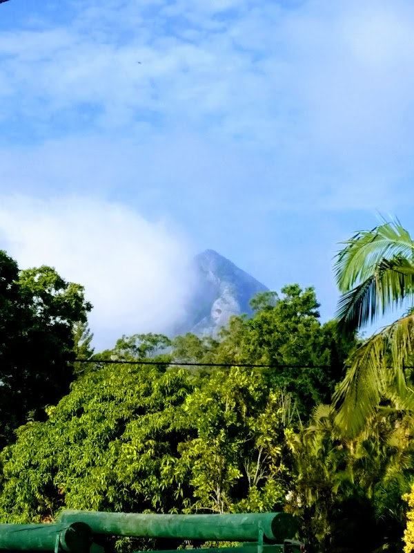 Majestic Peaks at Glass House Mountains - Glass House Mountains