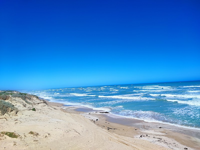 Serene Shores of Coorong National Park - Coorong National Park