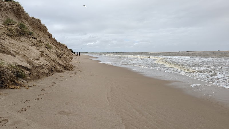 Serene Shores of Coorong National Park - Coorong National Park