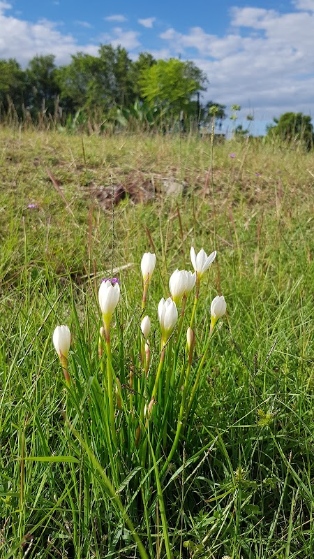 Enchanting Wilderness: Bunya Mountains - Bunya Mountains