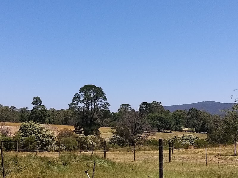 Nature's Canvas: The Yarra Valley Wonder surrounding landscape