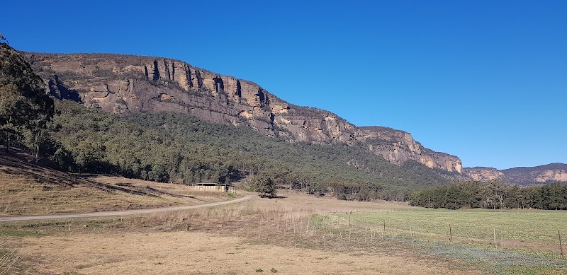 Majestic Horizons: Wollemi's Natural Wonder - Wollemi