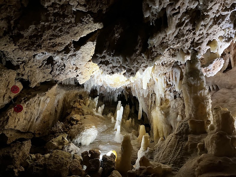 Nature's Retreat at Yanchep National Park - Yanchep National Park