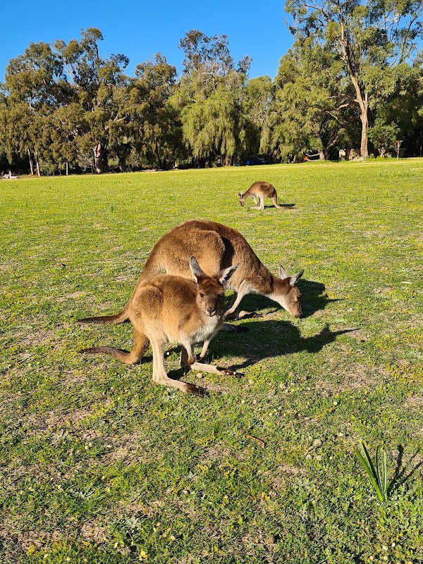 Nature's Retreat at Yanchep National Park - Yanchep National Park