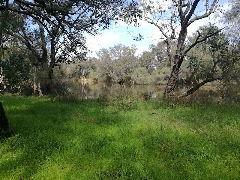 Natural Beauty at Canning River Regional Park - Canning River Regional Park