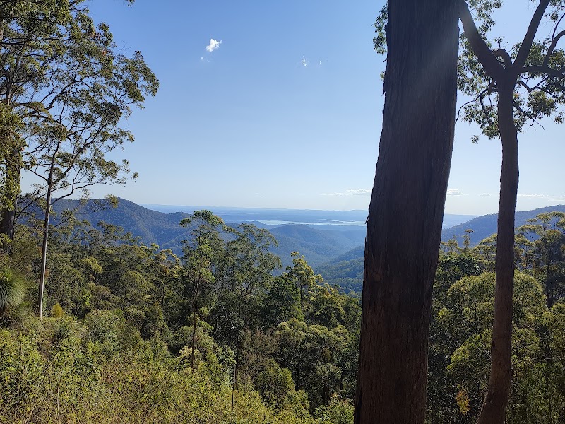 Discover the Lush Beauty of Mount Glorious, Queensland - Mount Glorious