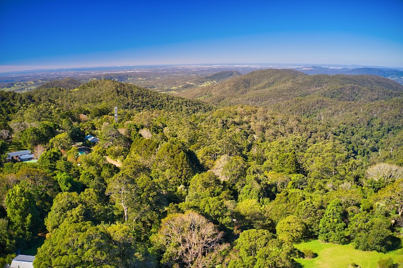 Discover the Lush Beauty of Mount Glorious, Queensland - Mount Glorious
