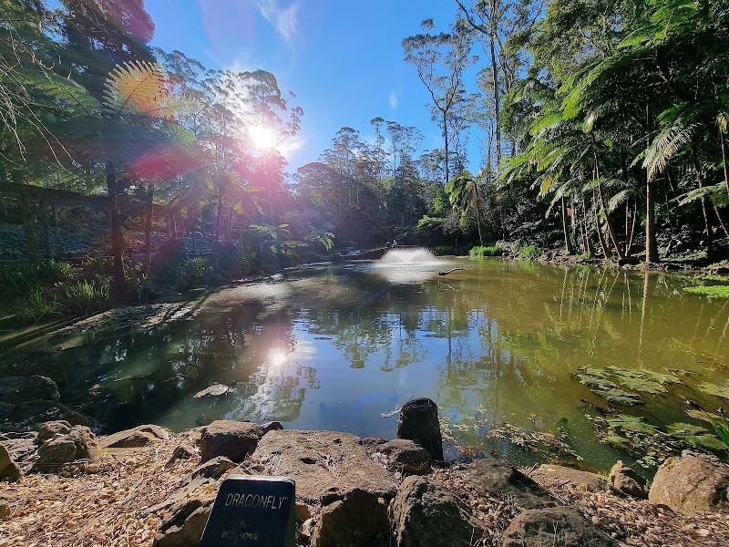 Verdant Escape: Tamborine Mountain - Tamborine Mountain