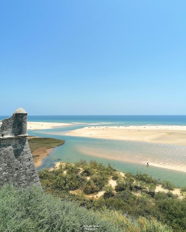 Explore the Serene Beauty of Cacela Velha Beach - Cacela Velha Beach