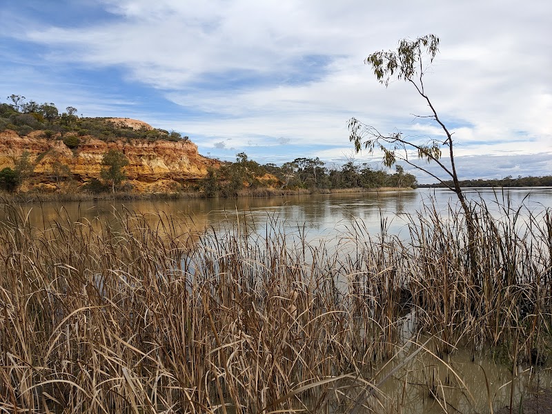 Riverside Wonders: Murray River National Park - Murray River National Park