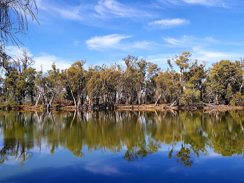 Riverside Wonders: Murray River National Park - Murray River National Park