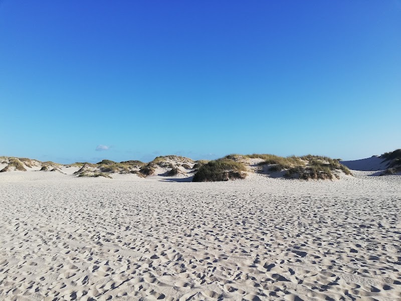 Discover the Pristine Beauty of São Jacinto Beach - São Jacinto Beach
