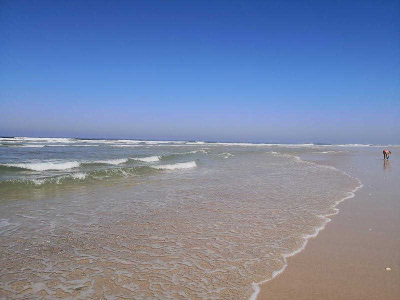Discover the Pristine Beauty of São Jacinto Beach - São Jacinto Beach